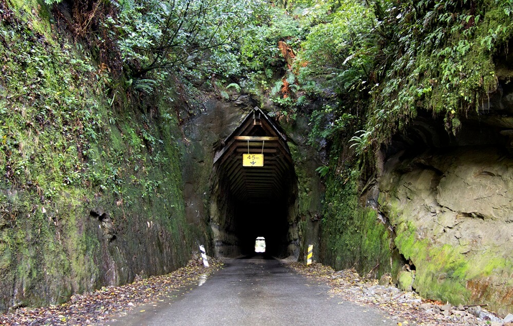 Forgotten Path - New Zealand