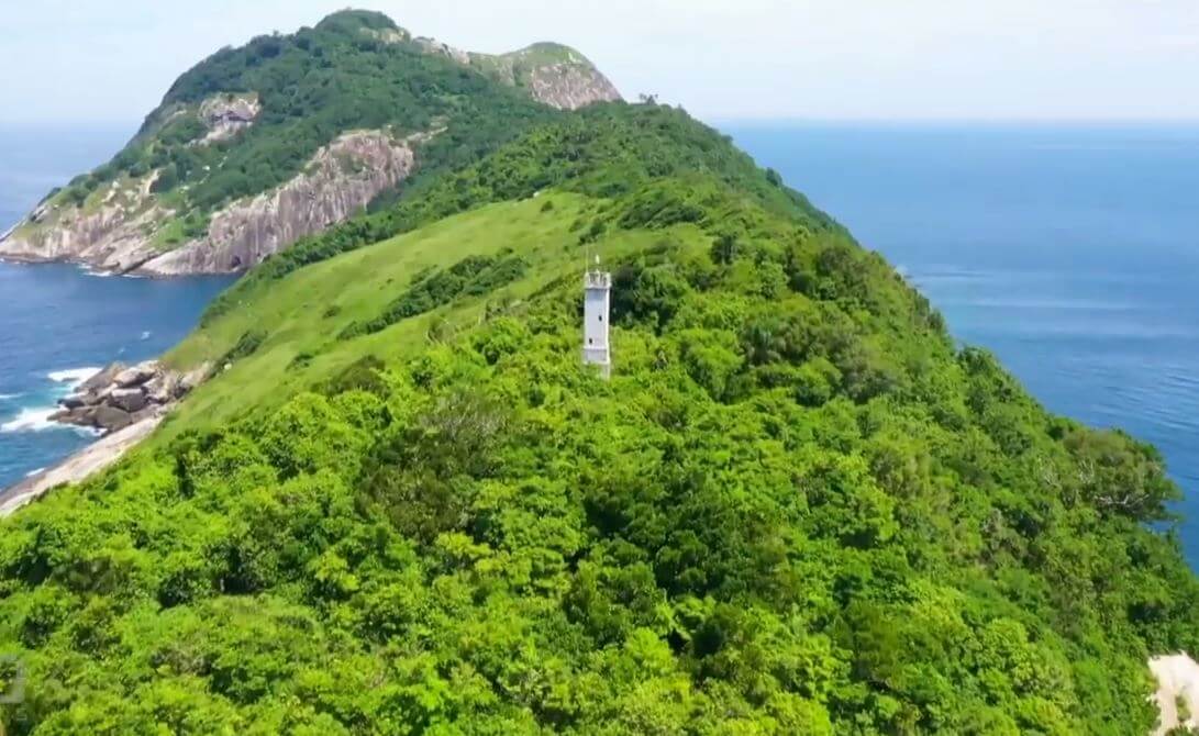 snake island brazil